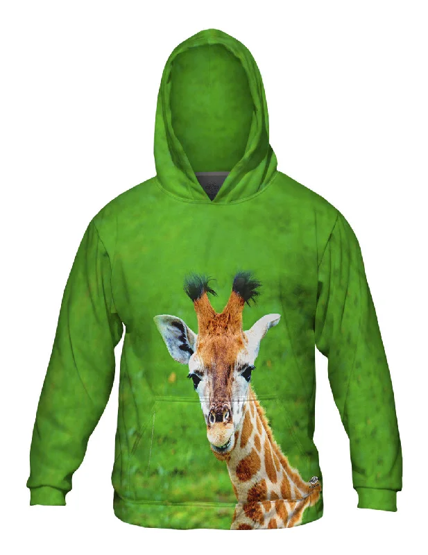 Zippy Giraffe